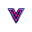 Vidgo AI favicon