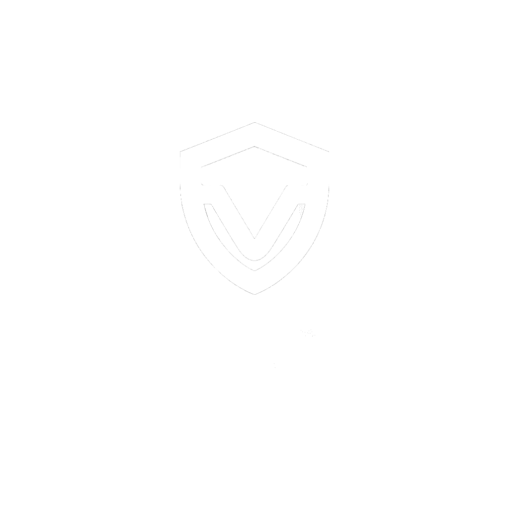 VibeSec favicon
