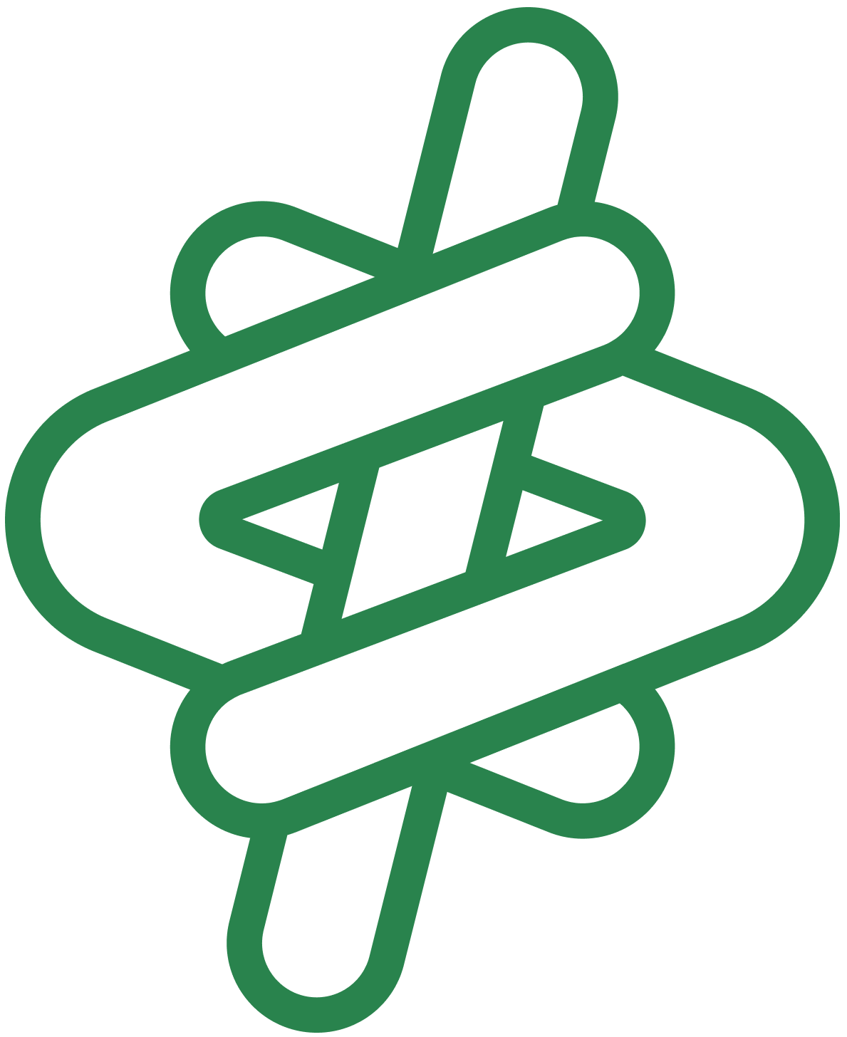 BuildQL favicon