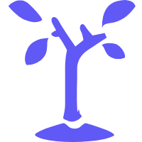 Seedance Box favicon