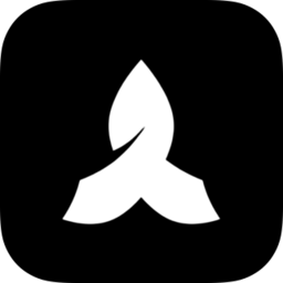 Palix AI favicon