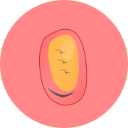 Nano Banana Pro favicon