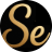 Seedly AI favicon