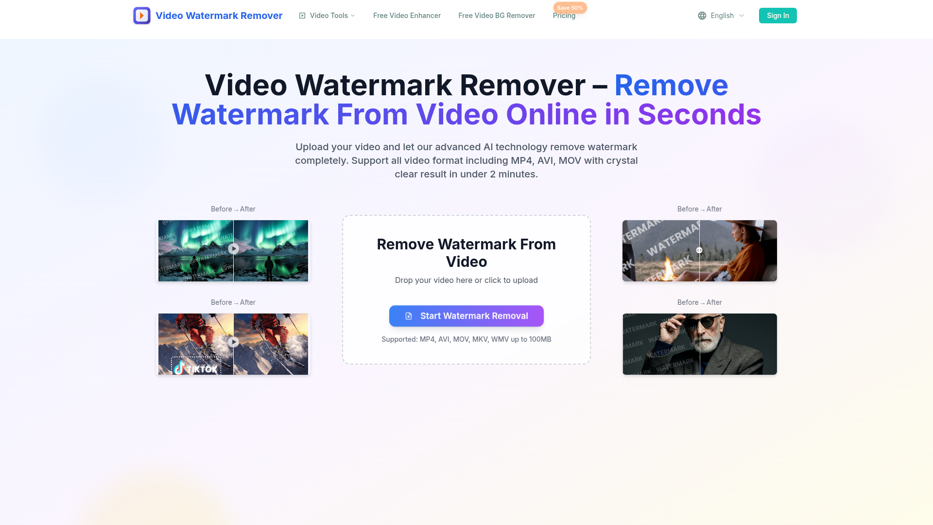 Video Watermark Remover