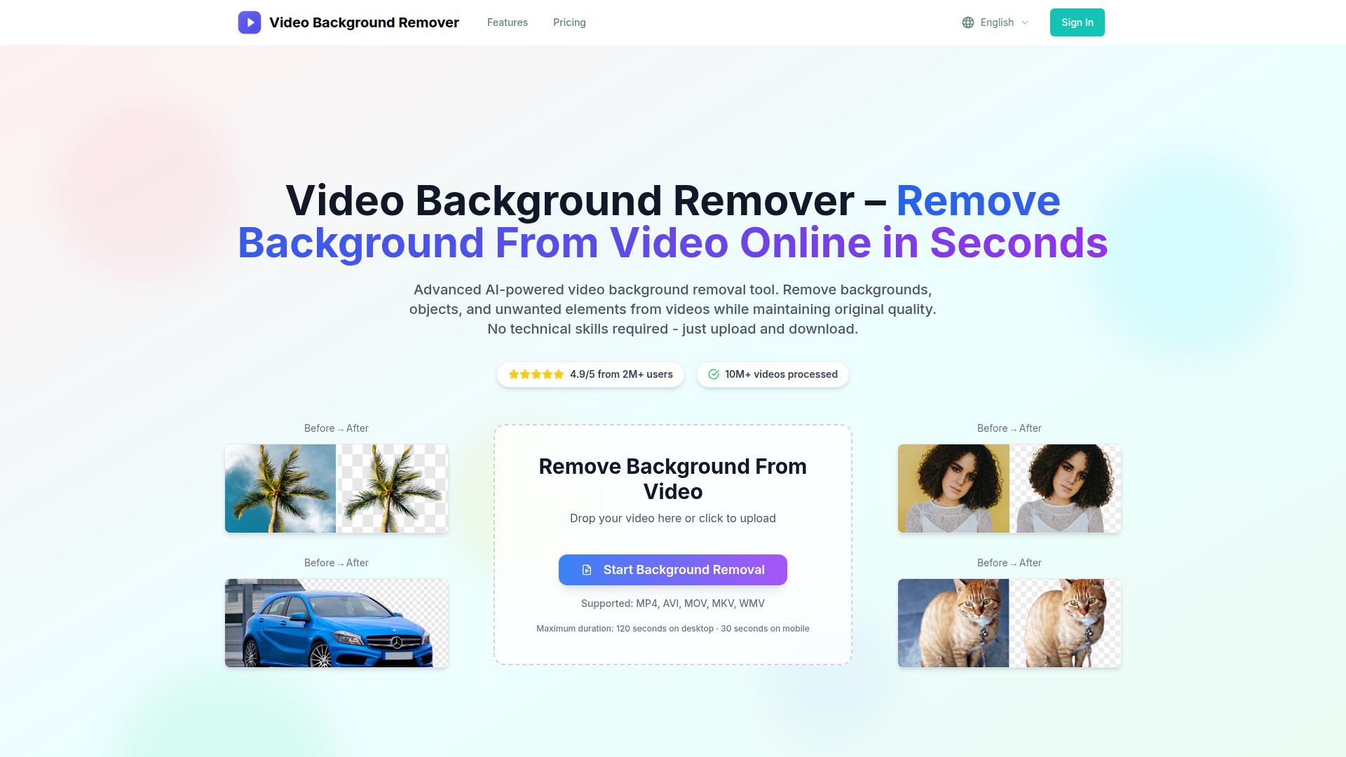 Video Background Remover
