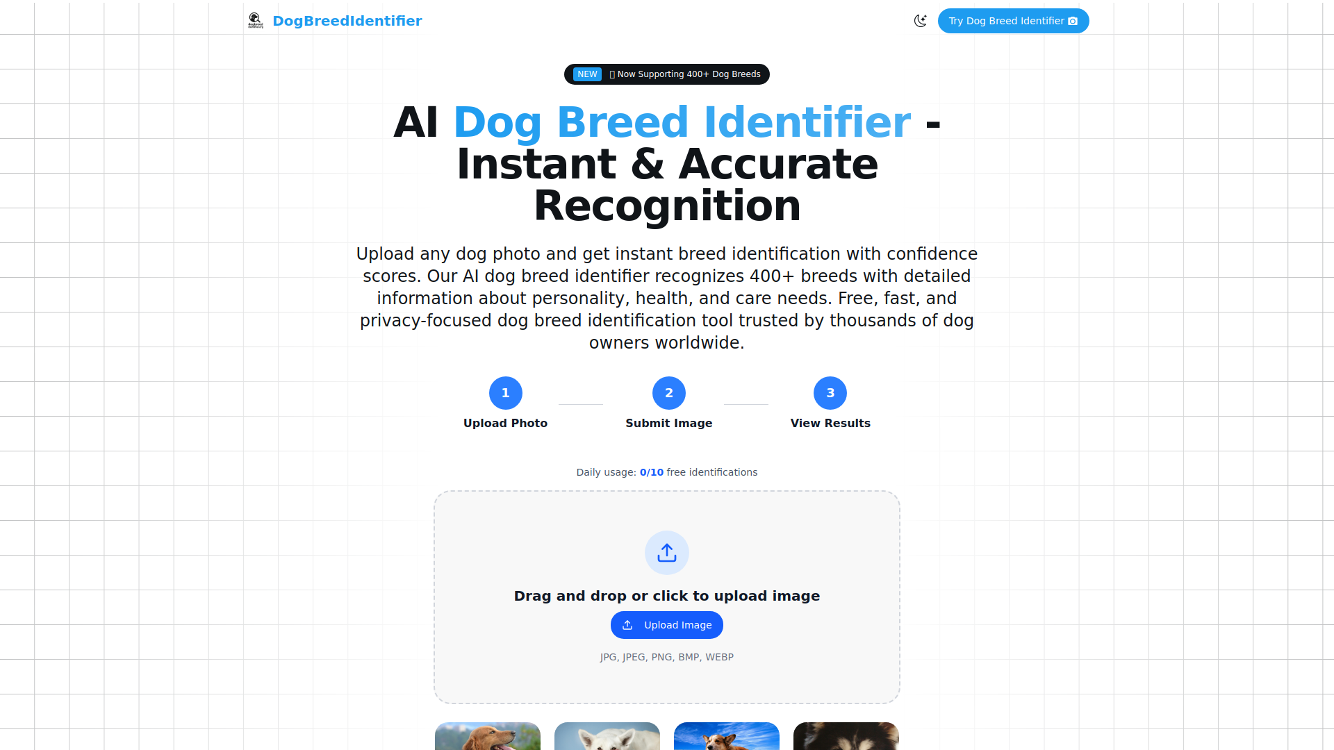 AI Dog Breed Identifier - Instant & Accurate Recognition.ai