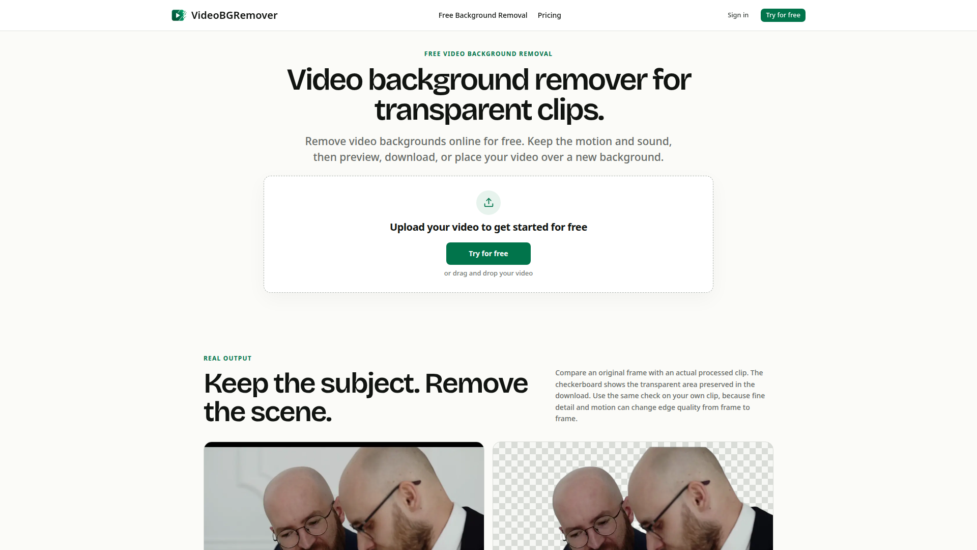 VideoBGRemover