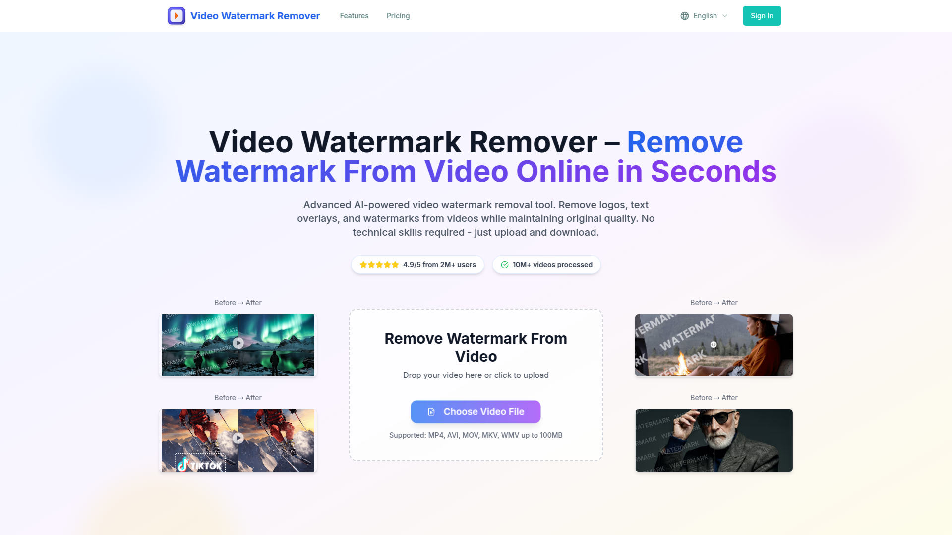 Video Watermark Remover